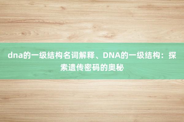 dna的一级结构名词解释、DNA的一级结构：探索遗传密码的奥秘