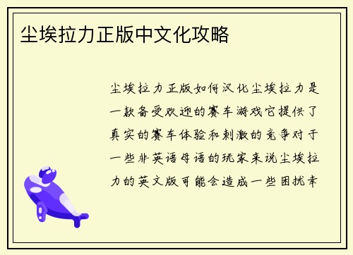 尘埃拉力正版中文化攻略